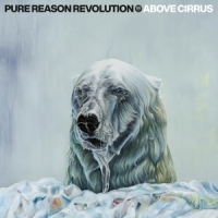 Pure Reason Revolution