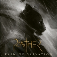 Pain of Salvation